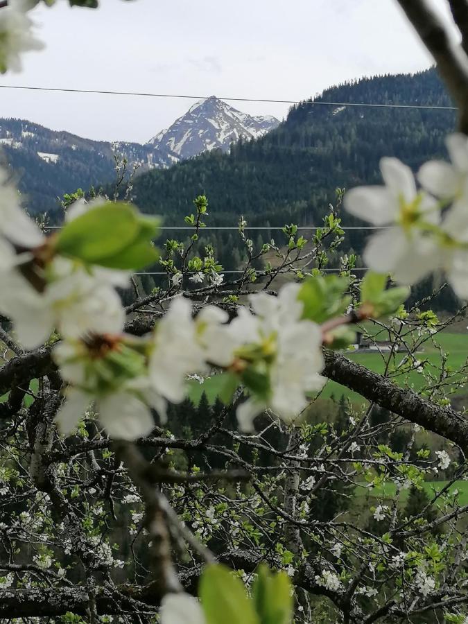 Ferienwohnung Weissacher Lend Exteriör bild